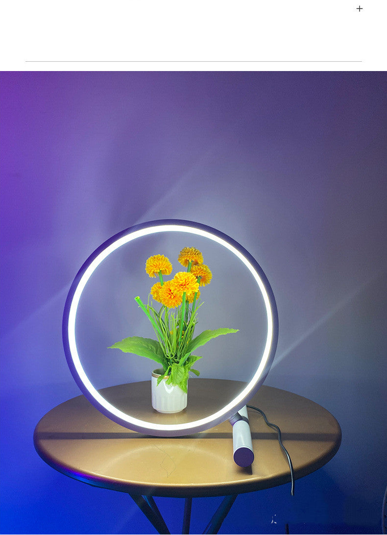 Nordic Circle Light