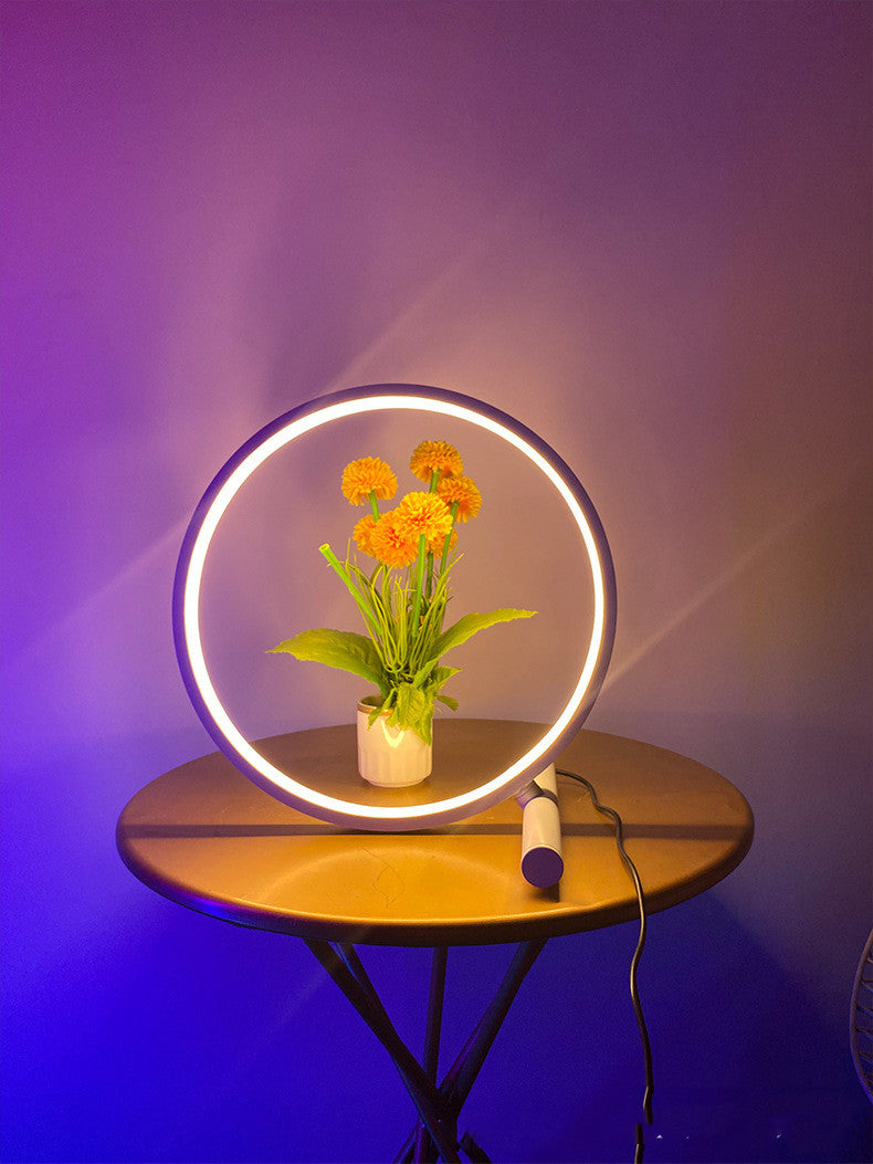 Nordic Circle Light