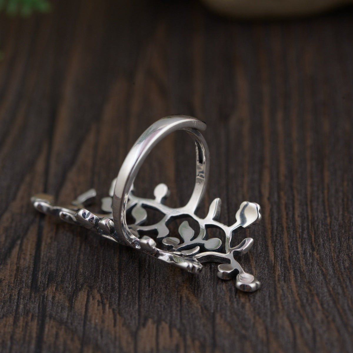 Anillo Vides Eternas