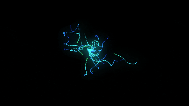 [ART PACK] time [ 0 ] biosynth gala