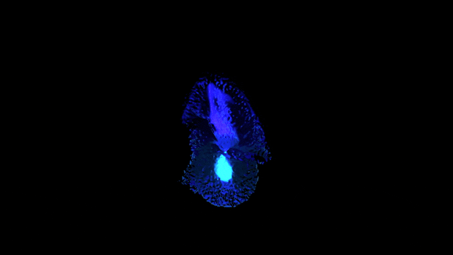 [ART PACK] time [ 0 ] spectral visions