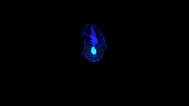 [ART PACK] time [ 0 ] spectral visions