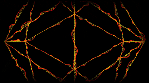 [ART PACK] time [ 0 ] vivid hallows