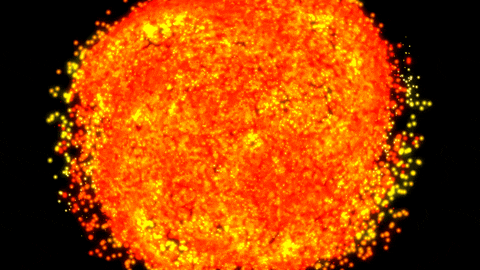 [ART PACK] time [ 0 ] vivid hallows