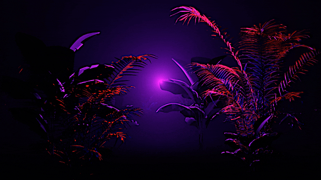 [ART PACK] time [ 0 ] ultraviolet focus