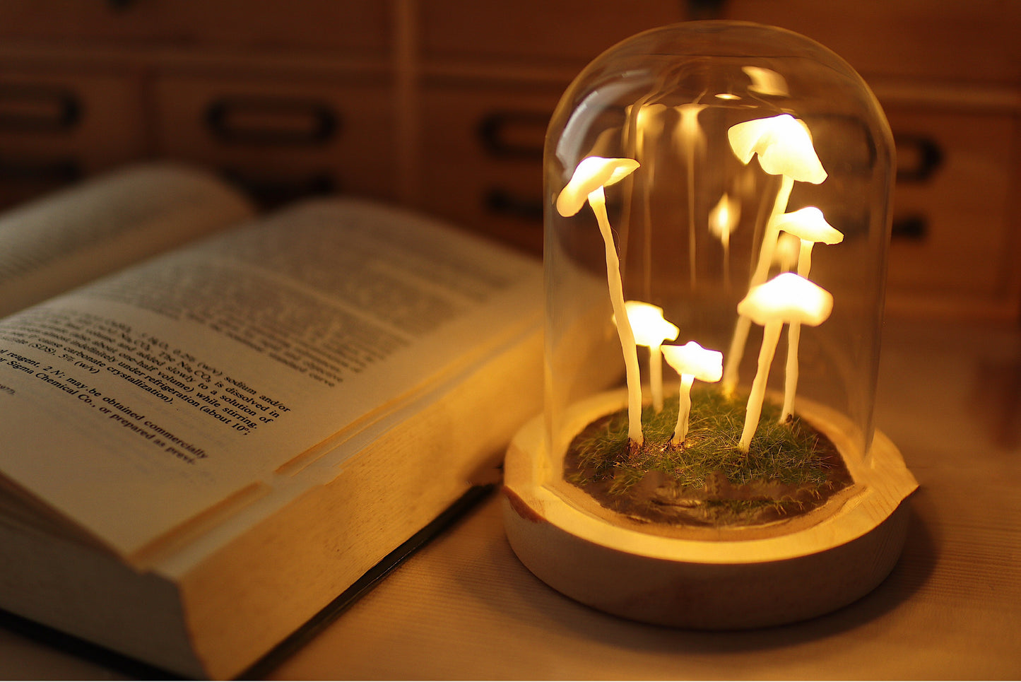 Mushroom Colony Biome Lamp