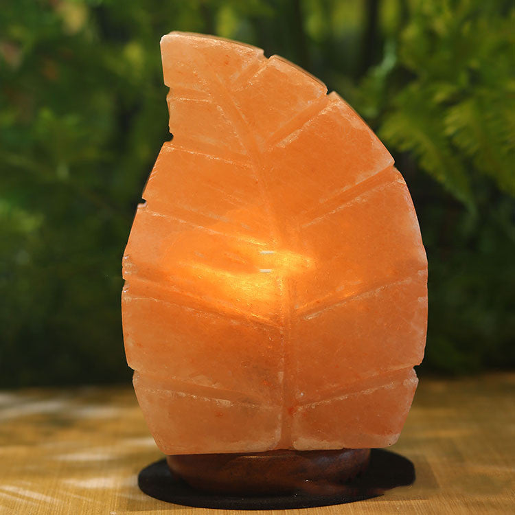 Salt Crystal Leaf Lamp