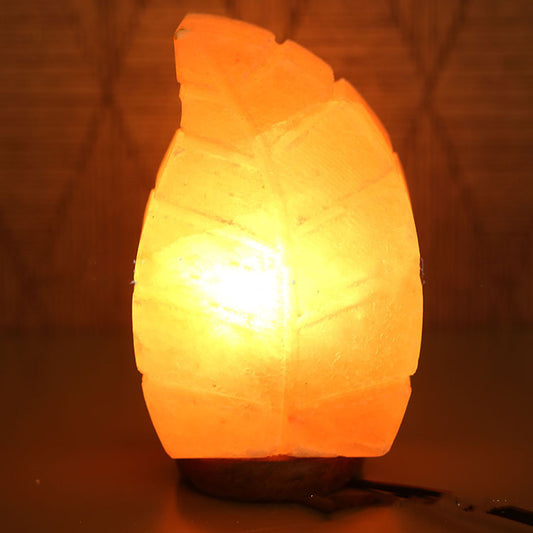 Salt Crystal Leaf Lamp