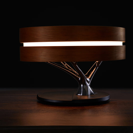 Multifunctional Luxury Music Lamp